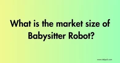 What is the market size of Babysitter Robot?